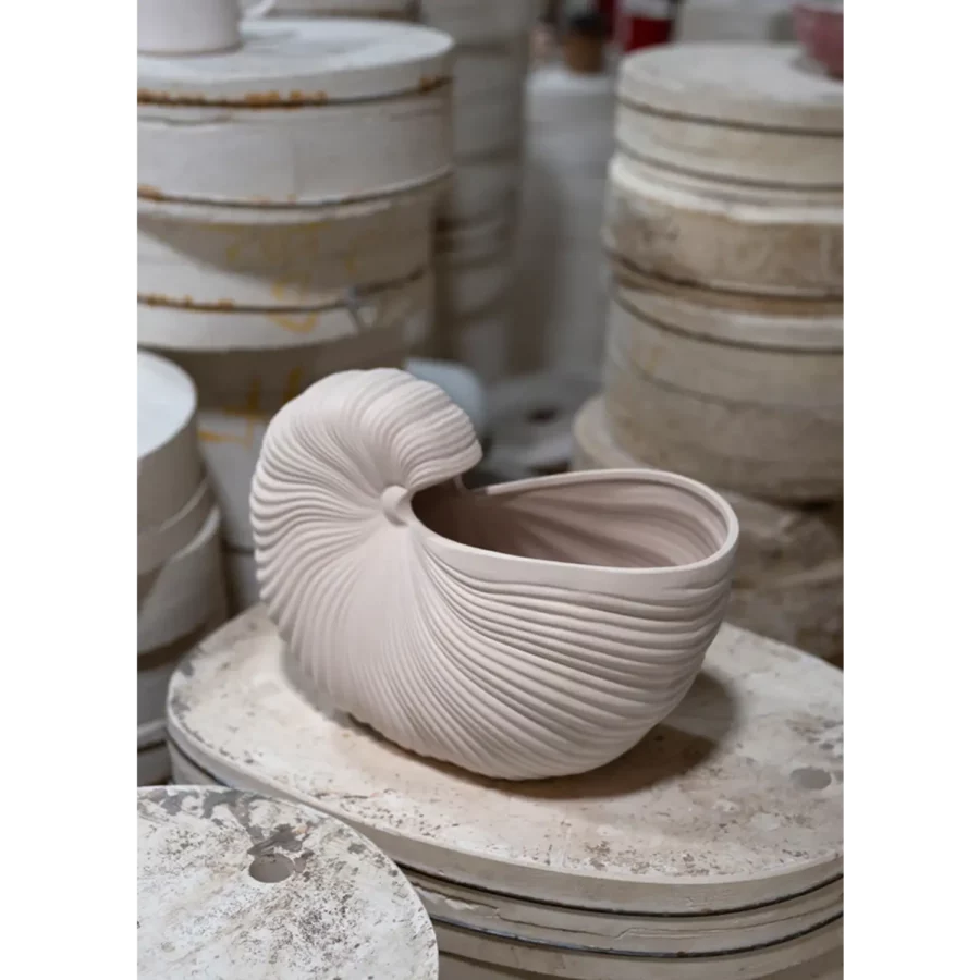 Shell_pot_1_big_image