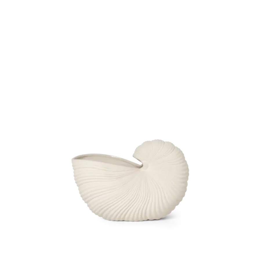 Shell_pot__big_image